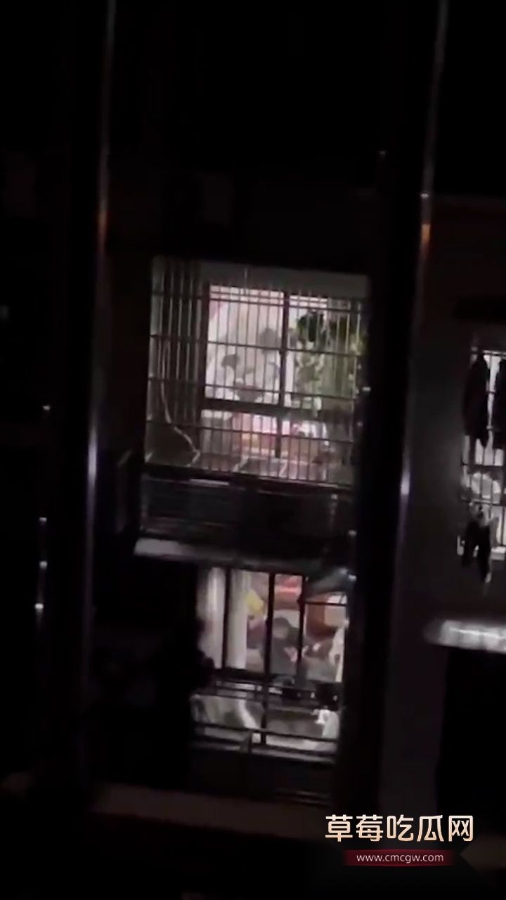 小夫妻窗前激战 2