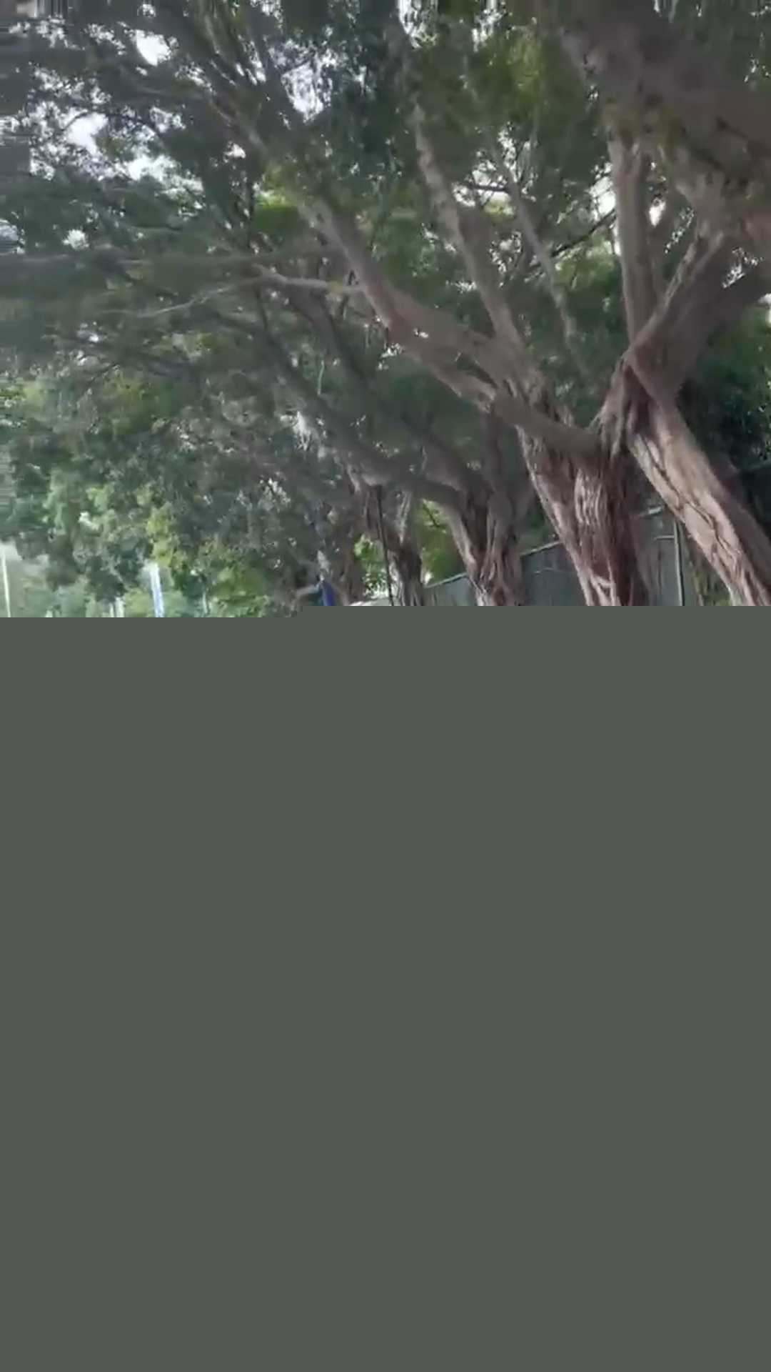 在马路上叼嗨 1