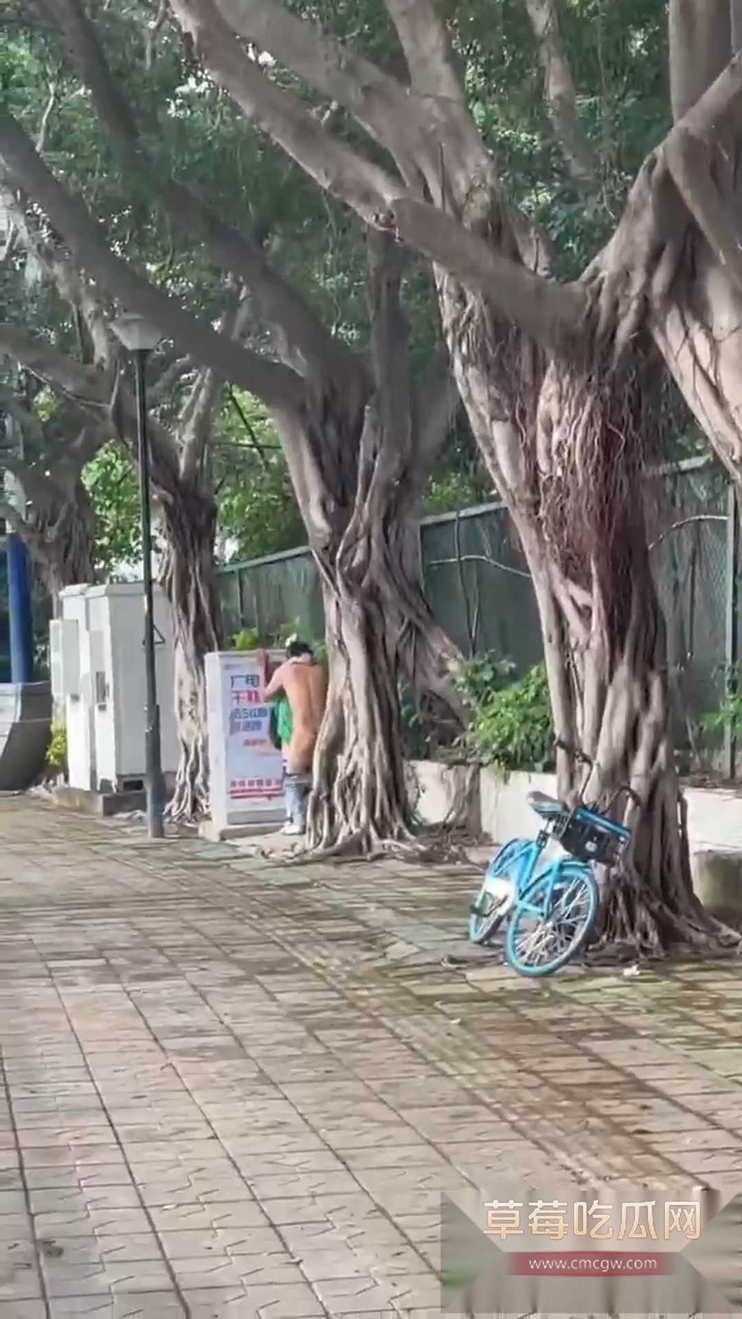 在马路上叼嗨 2