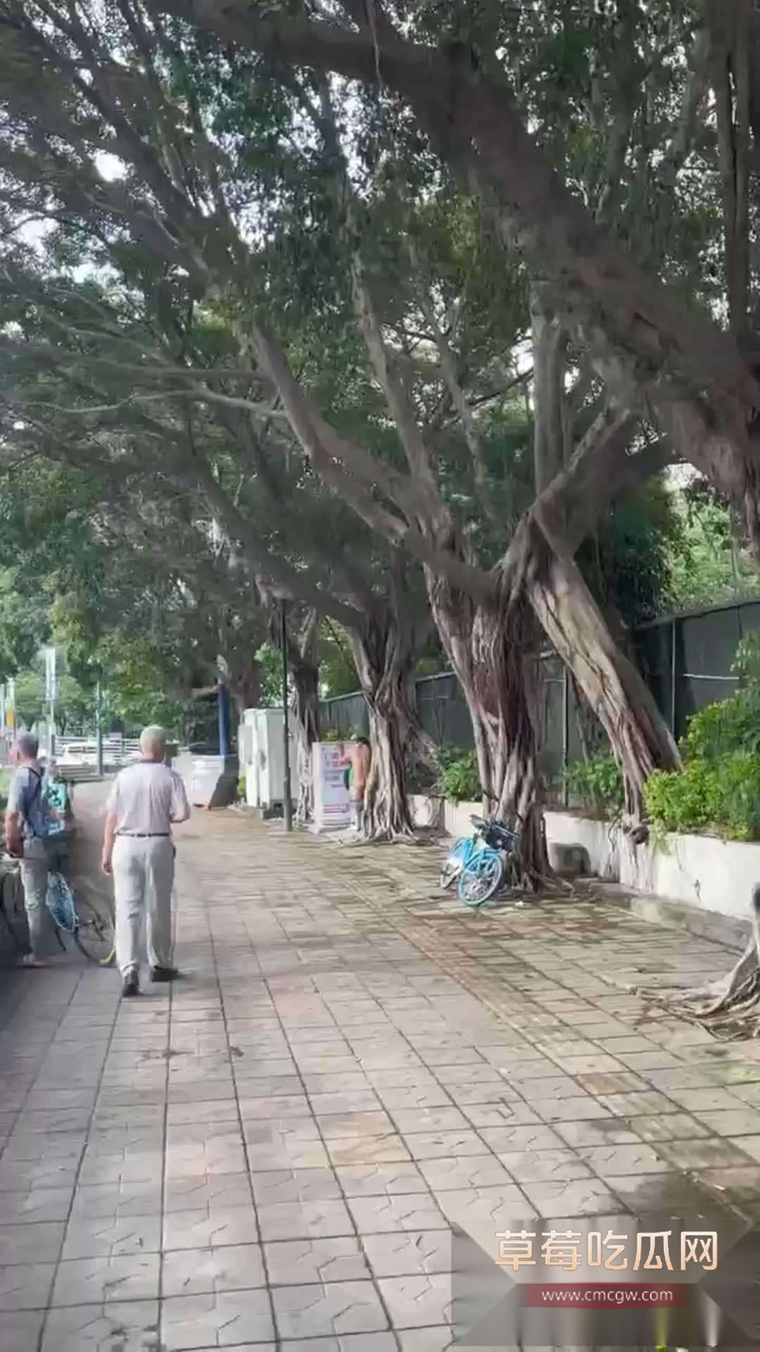 在马路上叼嗨 4