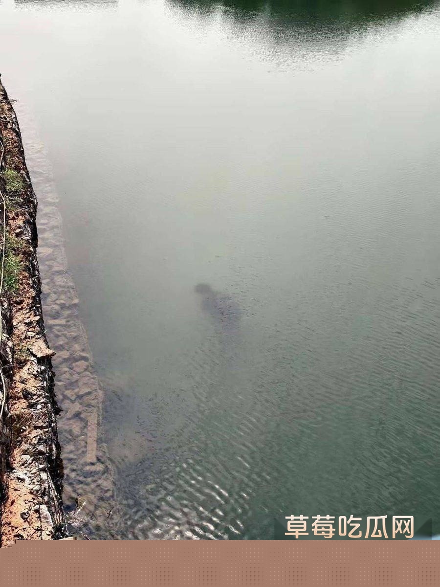 学校溺亡事件 3