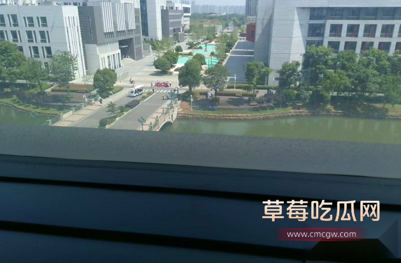 学校溺亡事件 7