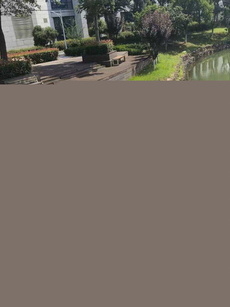 学校溺亡事件 6