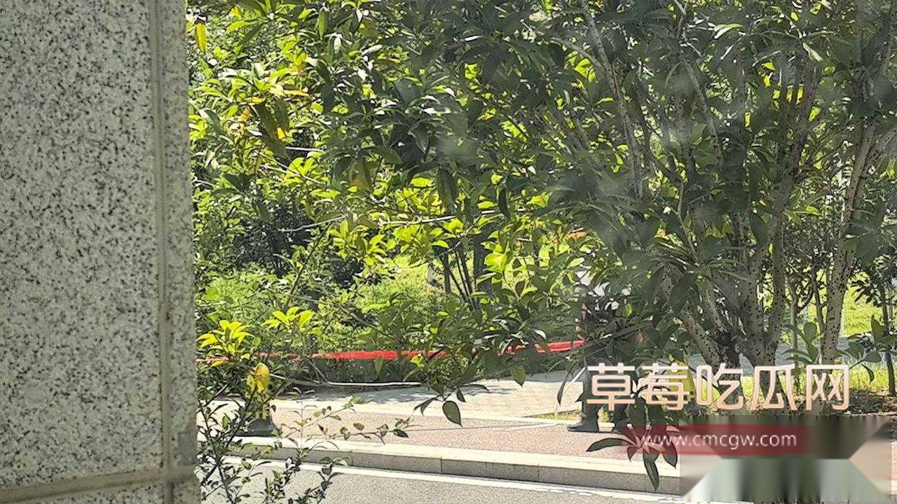 学校溺亡事件 8