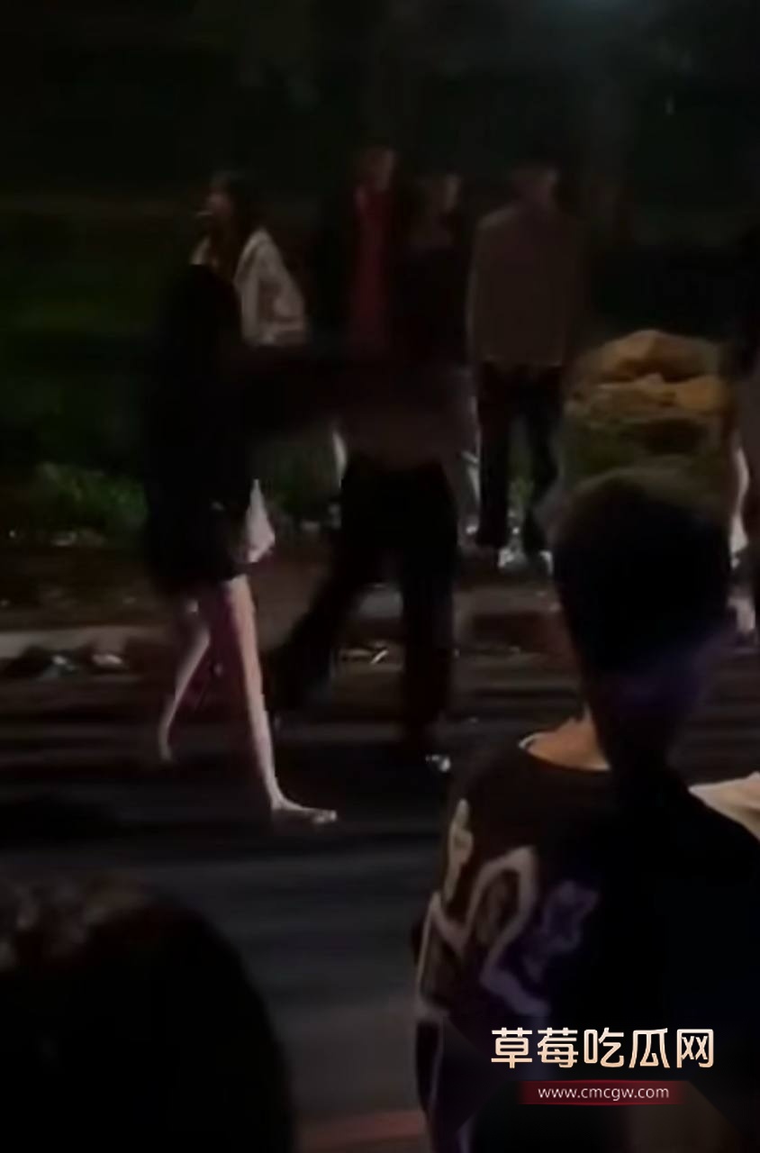 精神小妹打架 5