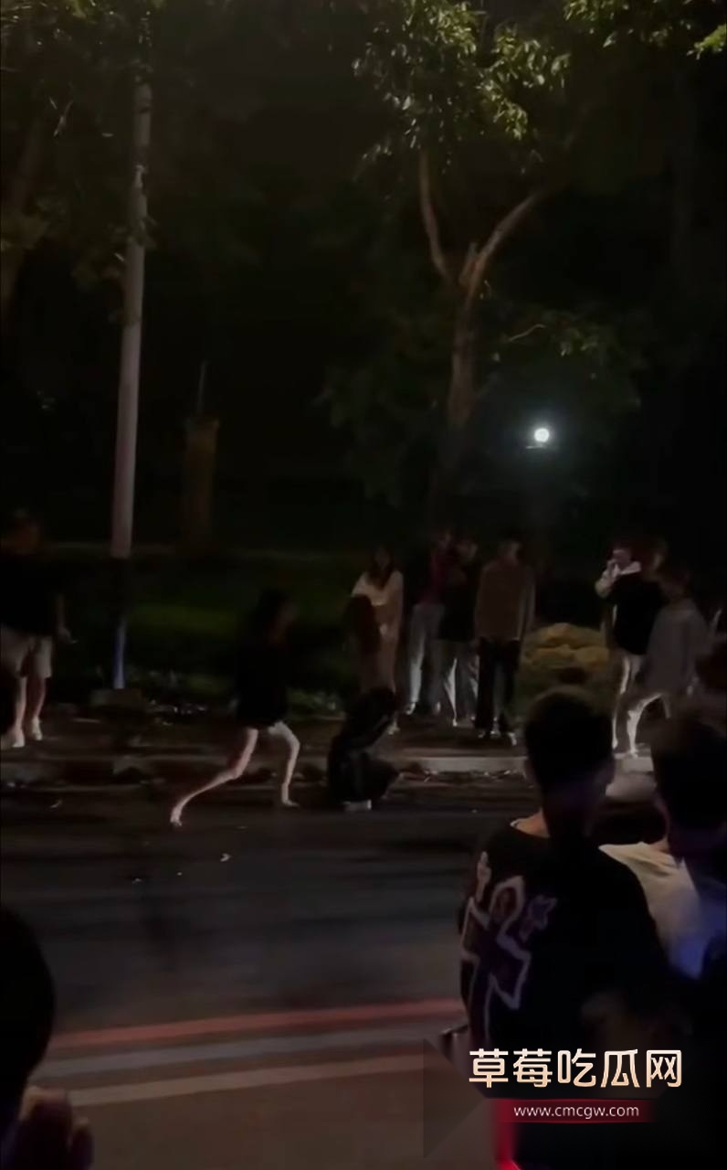 精神小妹打架 6