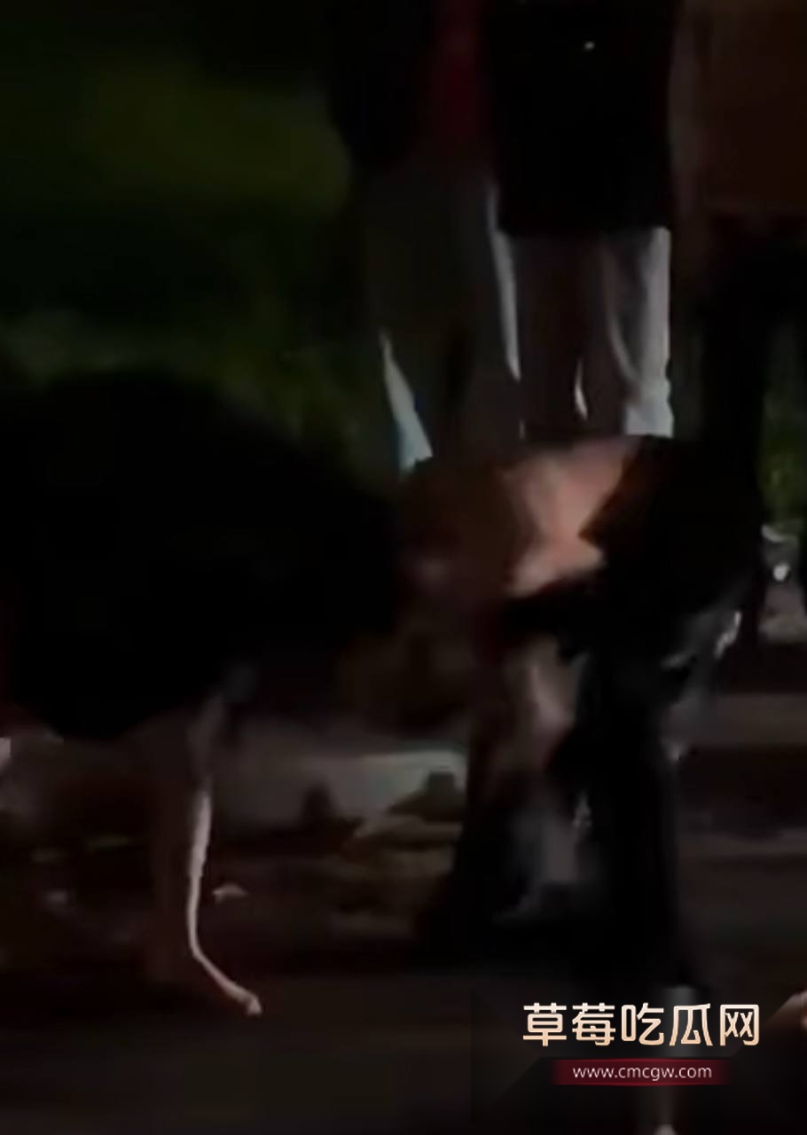 精神小妹打架 7