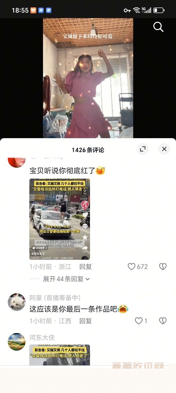 女子因违停被贴罚单后情绪激动 9