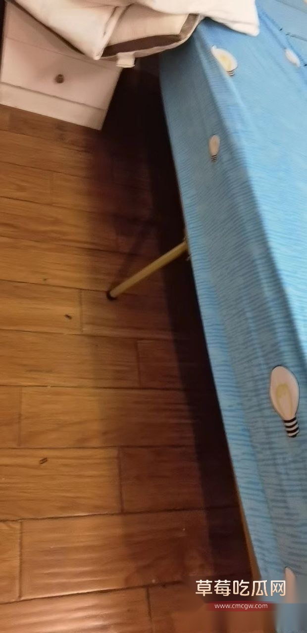 三女一男床板干断 5 三女一男床板干断 5