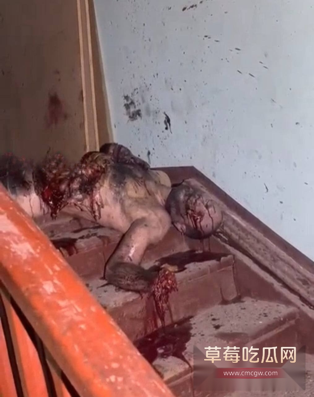 生日聚会上被手榴弹炸死 1