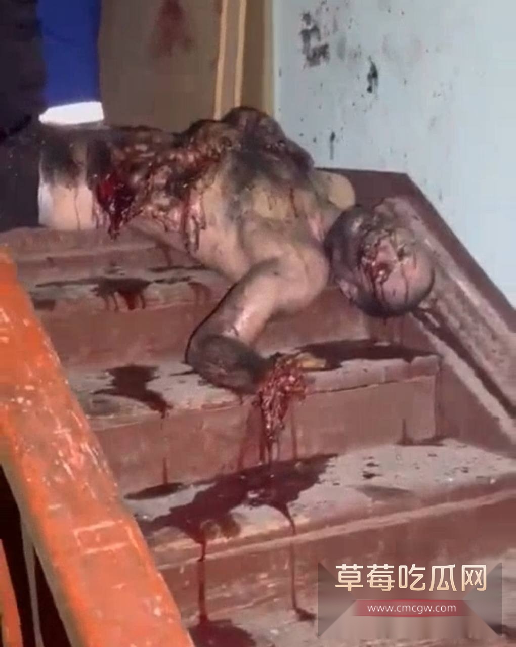 生日聚会上被手榴弹炸死 2