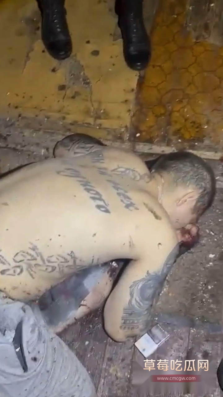 生日聚会上被手榴弹炸死 4