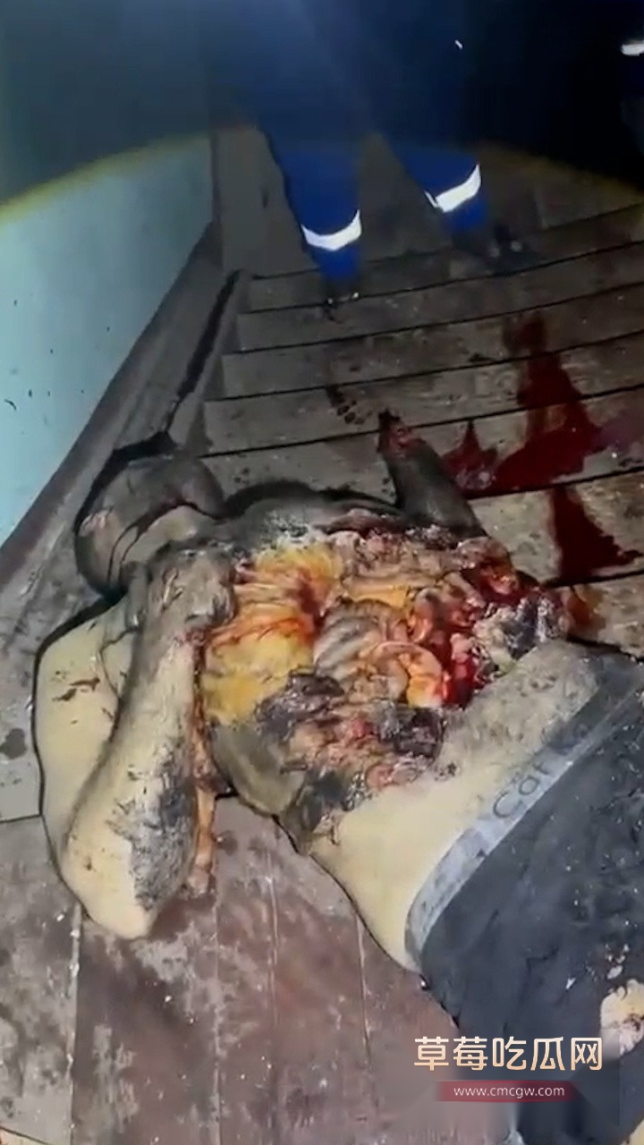 生日聚会上被手榴弹炸死 5