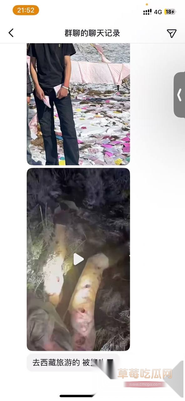 狗熊袭击2.jpg 狗熊袭击2.jpg