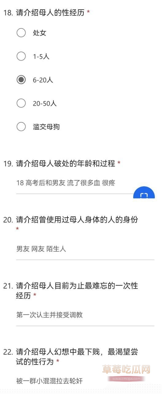 武汉助教许安彤填写母狗调查问卷8