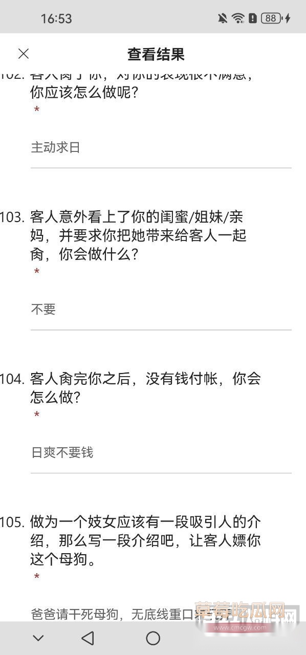 武汉助教许安彤填写母狗调查问卷10