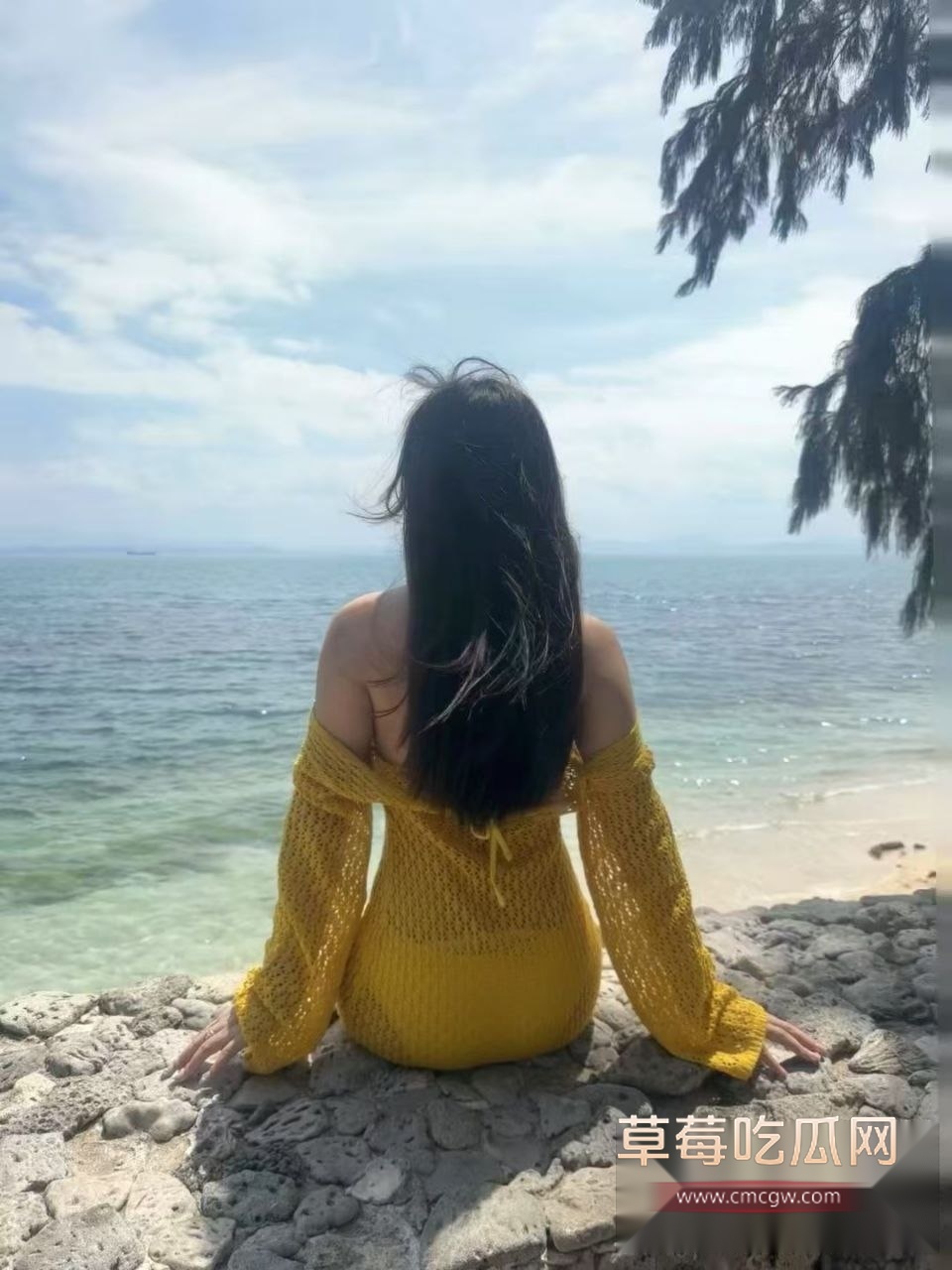 武汉助教许安彤填写母狗调查问卷18