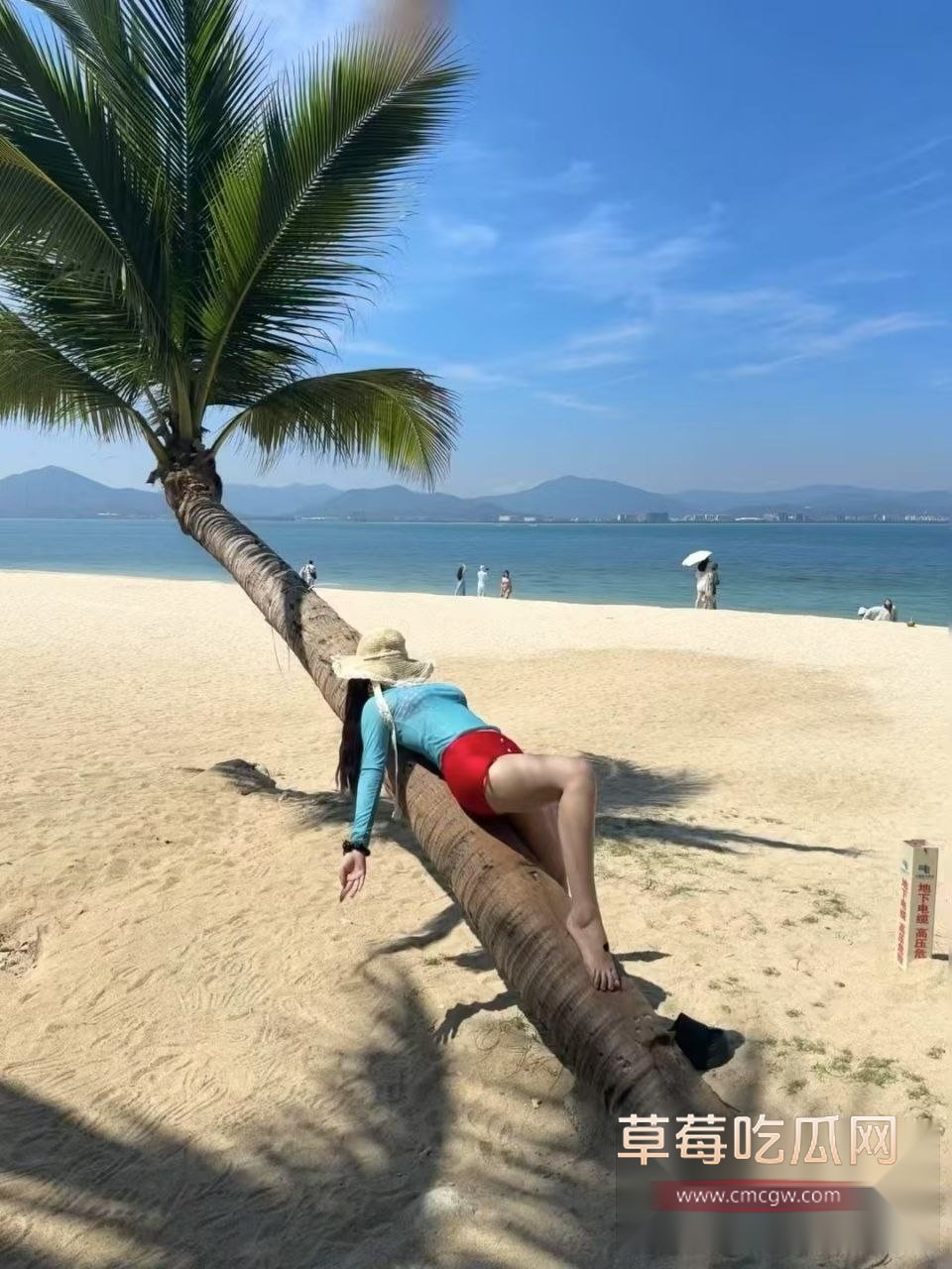 武汉助教许安彤填写母狗调查问卷14