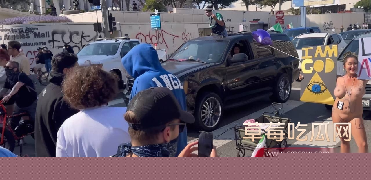 无偿投稿：美国洛杉矶大暴乱 多名中国留学生被洗脑乱入3