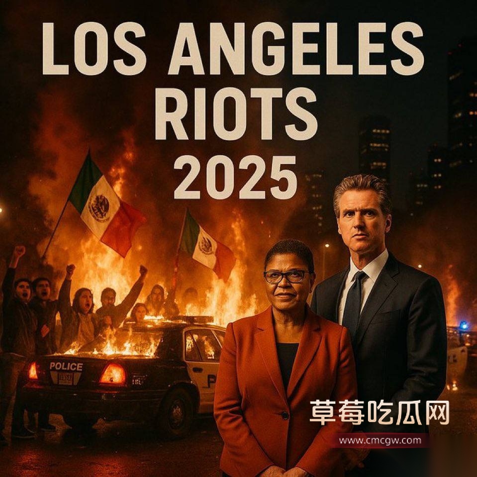 无偿投稿：美国洛杉矶大暴乱 多名中国留学生被洗脑乱入7