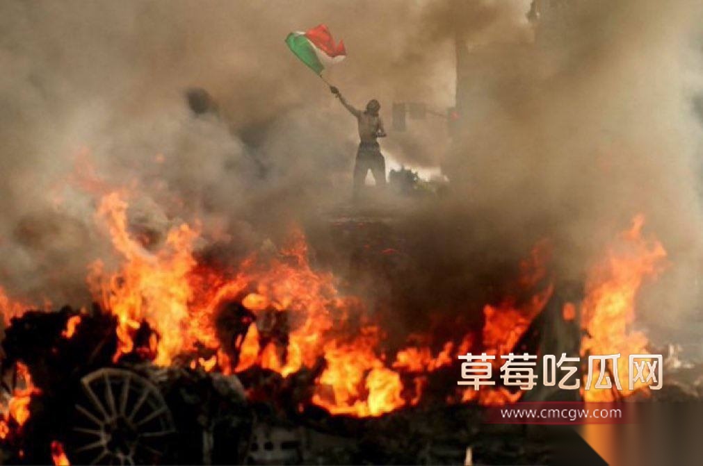 无偿投稿：美国洛杉矶大暴乱 多名中国留学生被洗脑乱入9