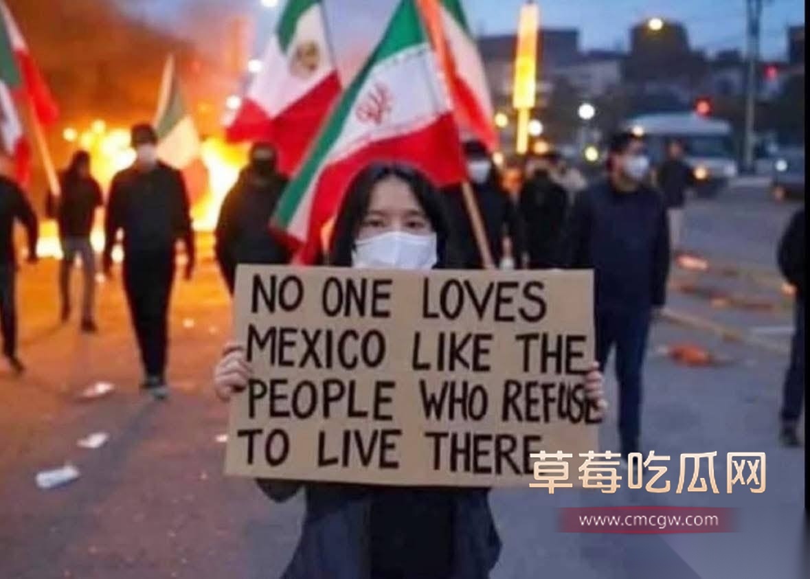 无偿投稿：美国洛杉矶大暴乱 多名中国留学生被洗脑乱入10