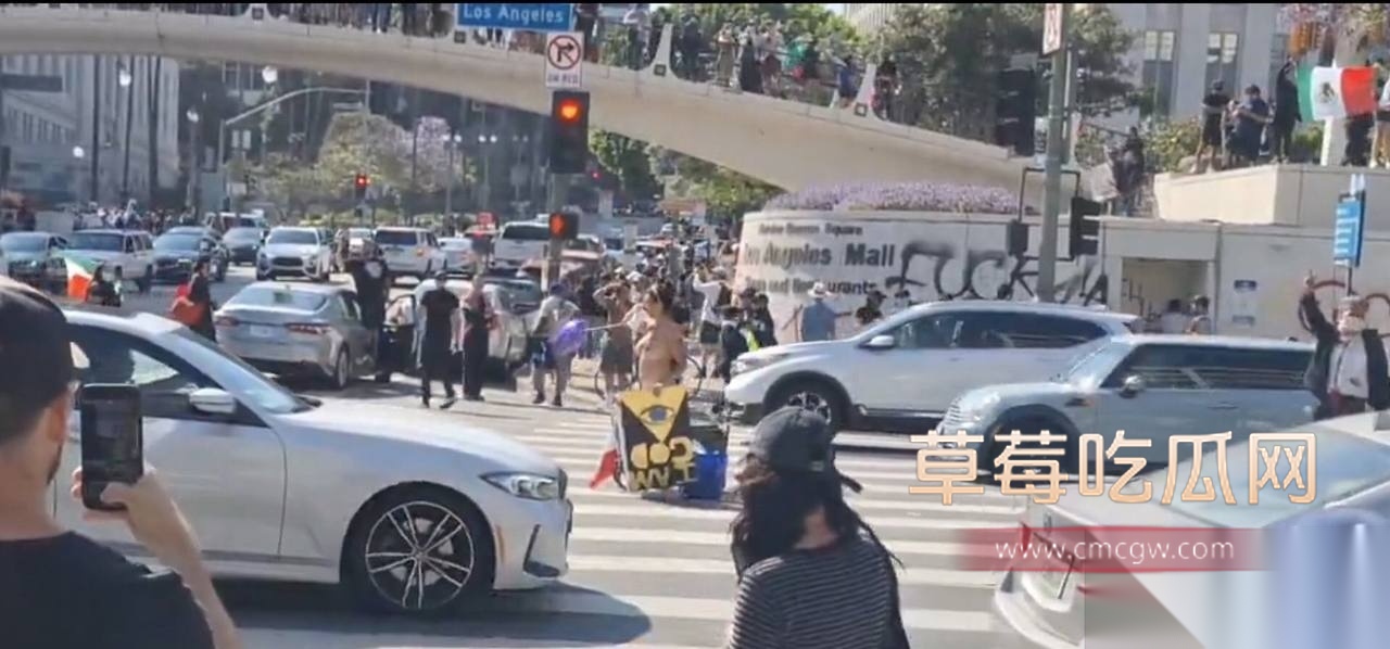 无偿投稿：美国洛杉矶大暴乱 多名中国留学生被洗脑乱入15