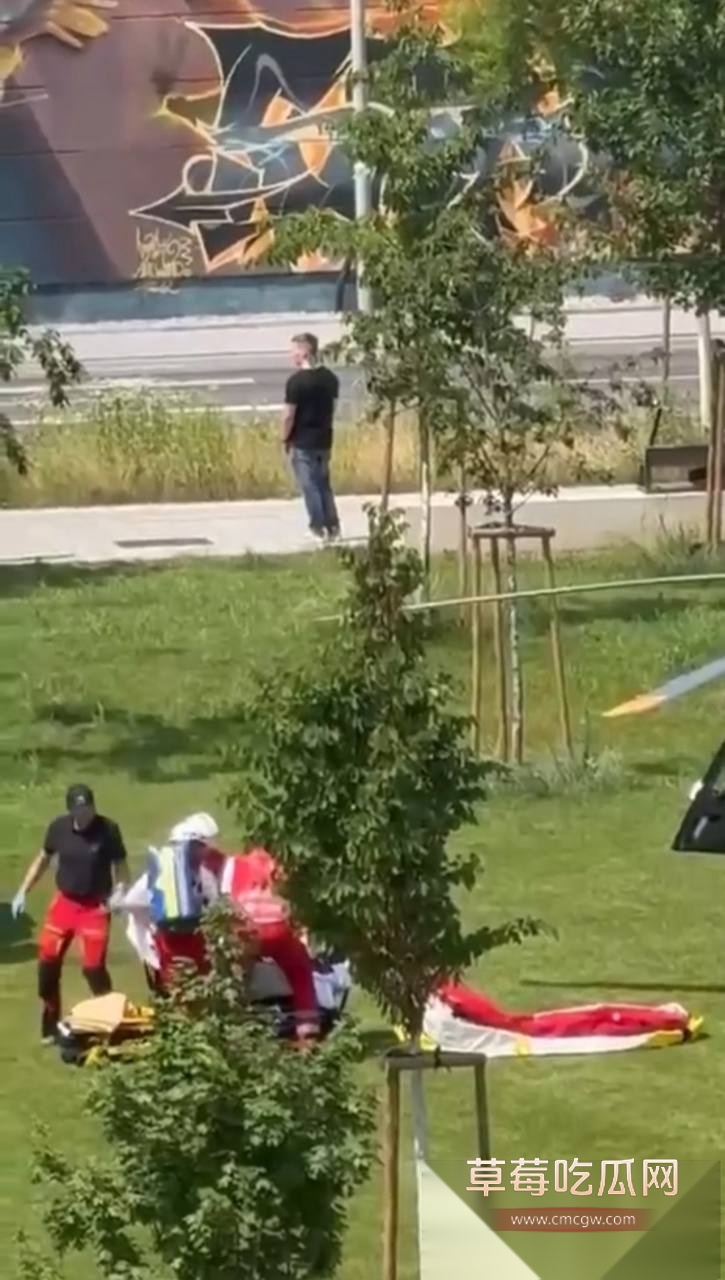 奥地利格拉茨学校发生枪击事件 2