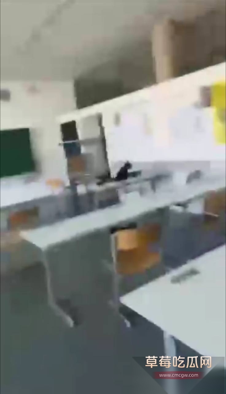 奥地利格拉茨学校发生枪击事件 4