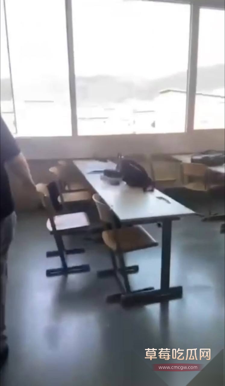 奥地利格拉茨学校发生枪击事件 5
