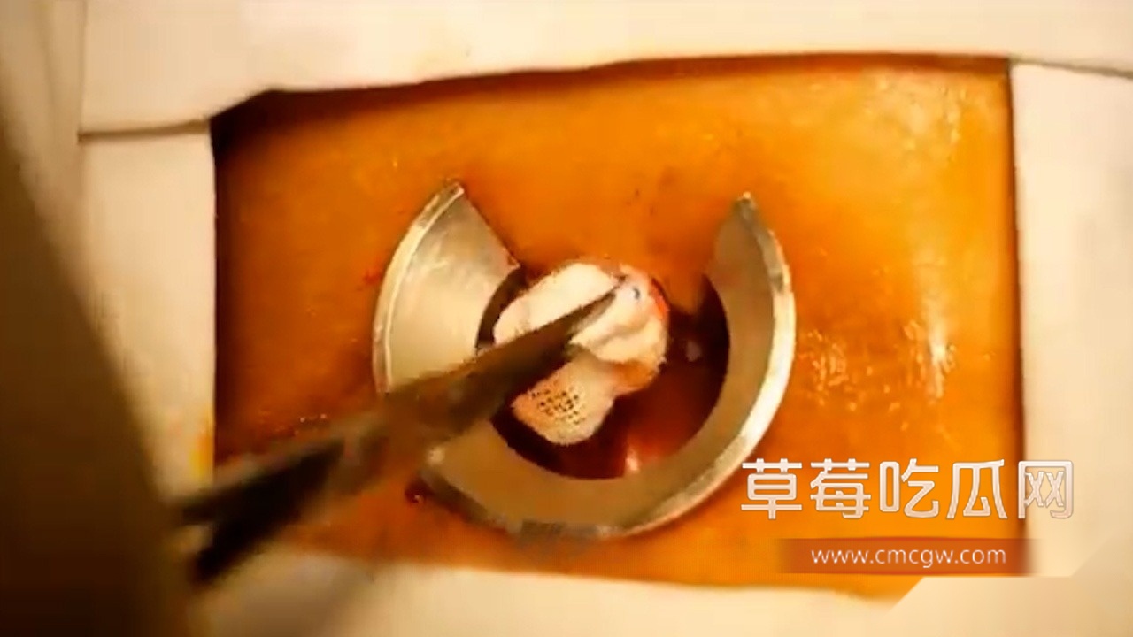 走后门把屁眼玩坏 5