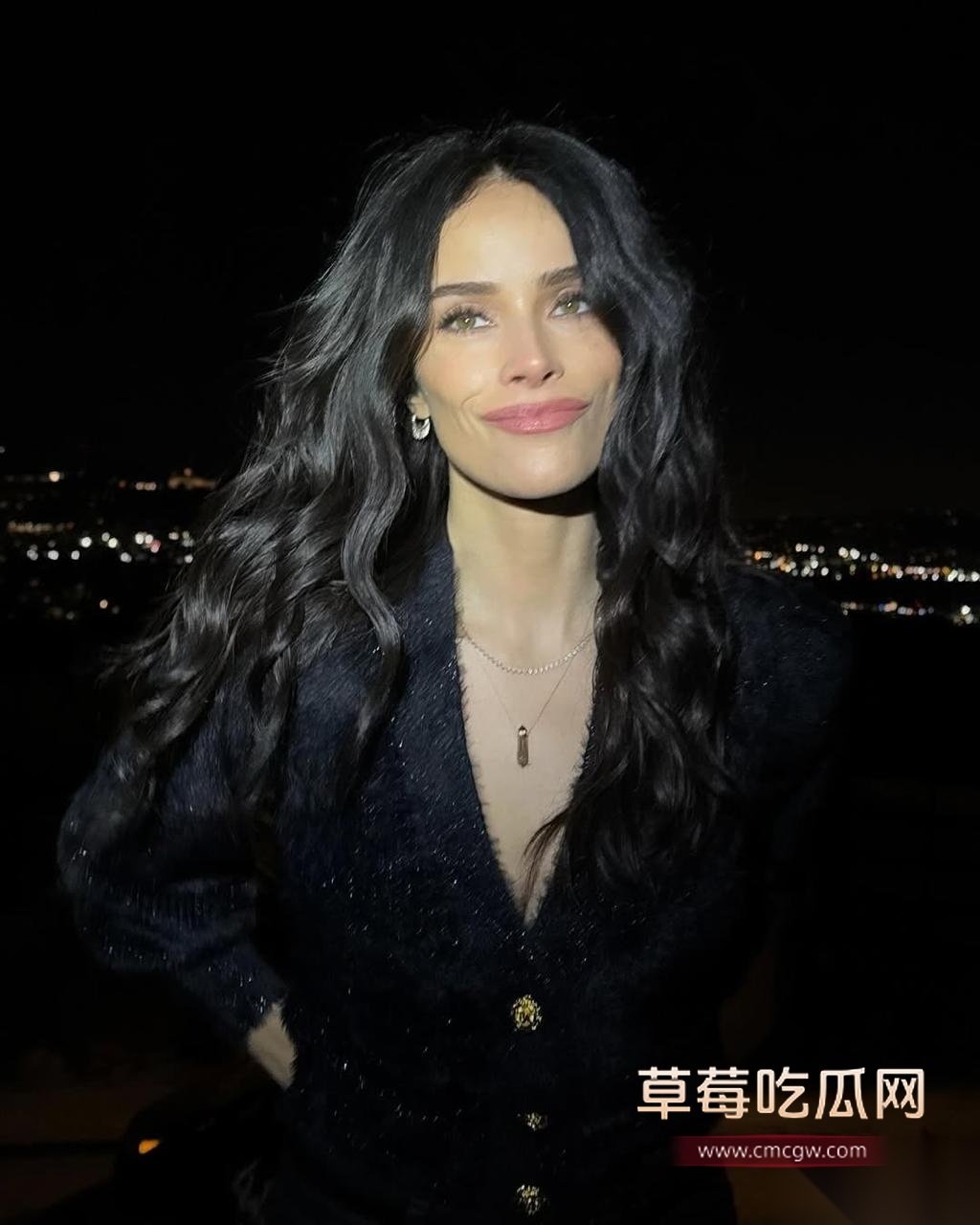 美国好莱坞女星 阿比盖尔·斯宾塞 3