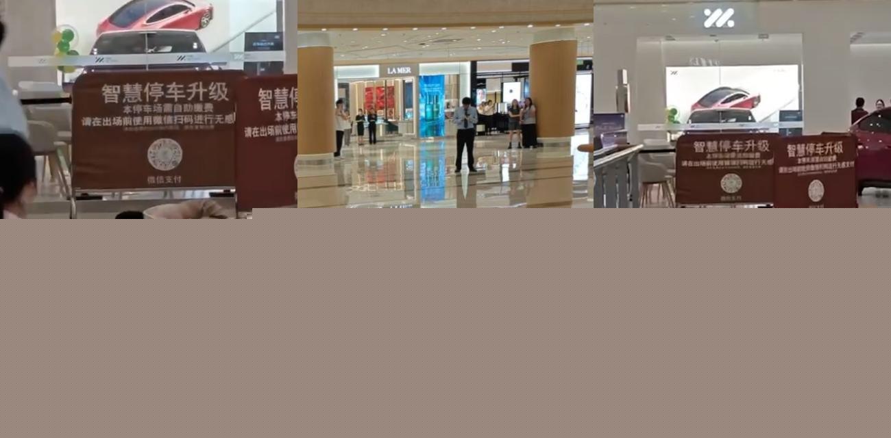 上海八佰伴女子坠楼.jpg 上海八佰伴女子坠楼.jpg