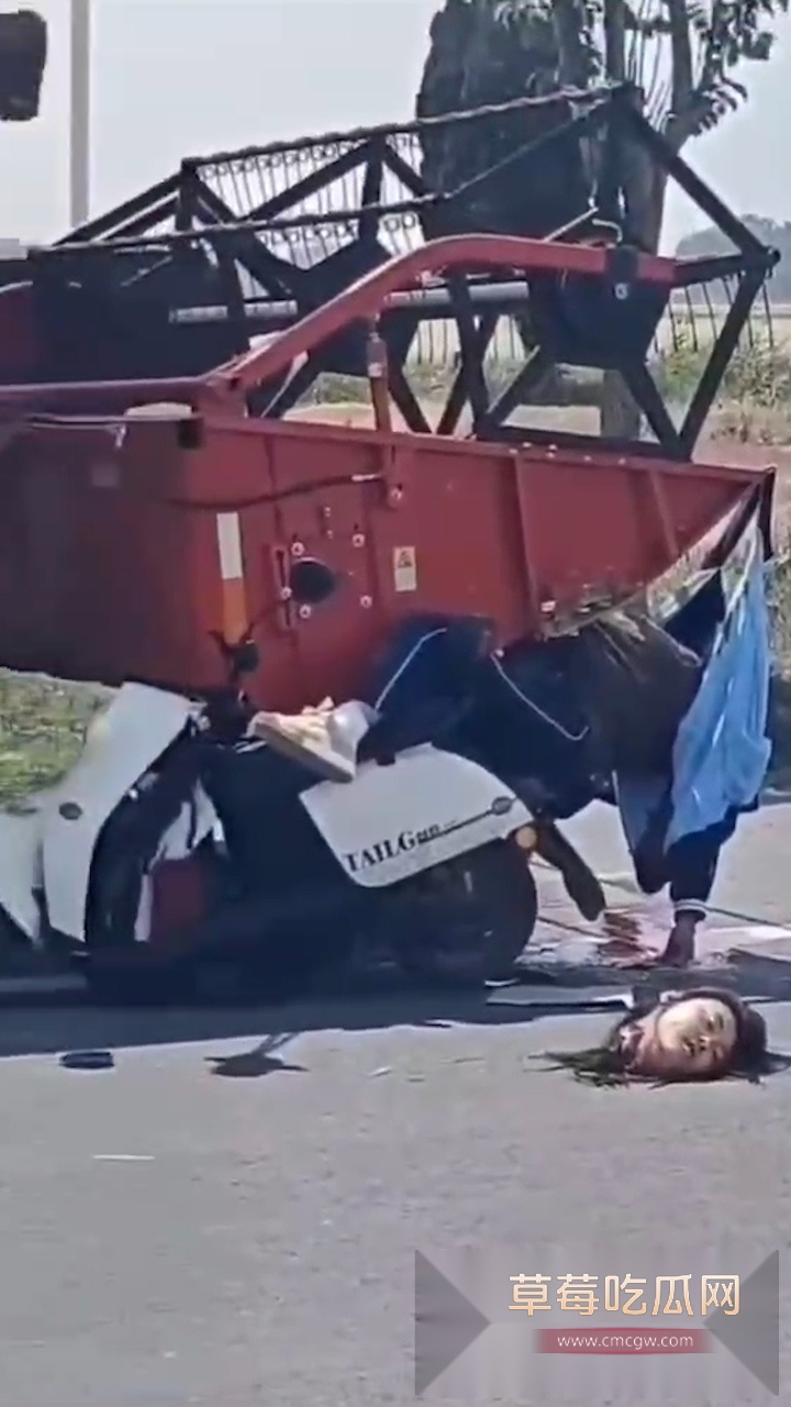 开摩托撞上收割机 4