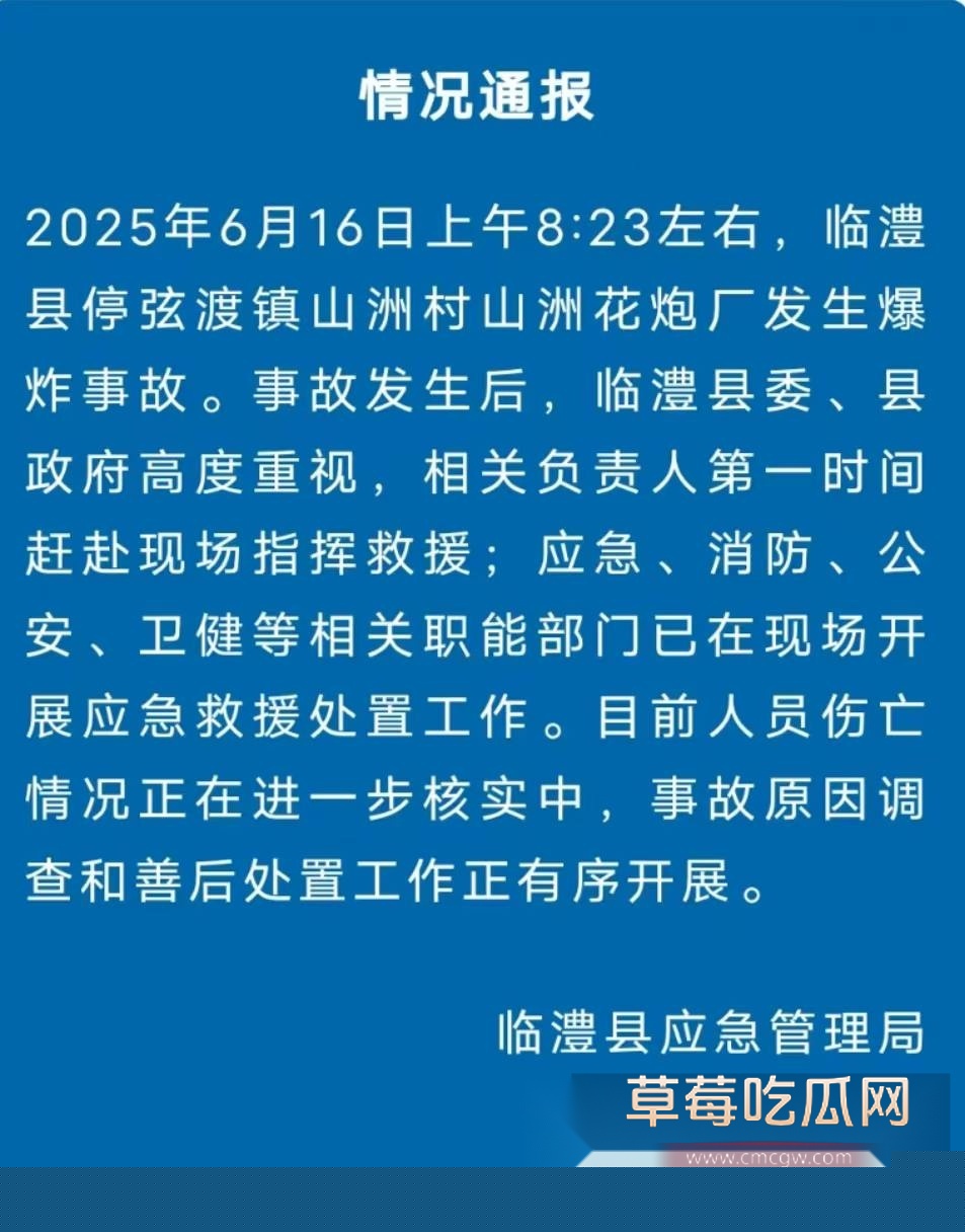 湖南临澧花炮厂爆炸 3