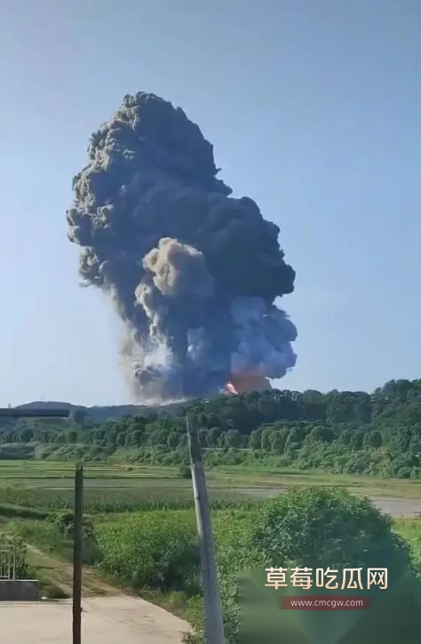 湖南临澧花炮厂爆炸 4