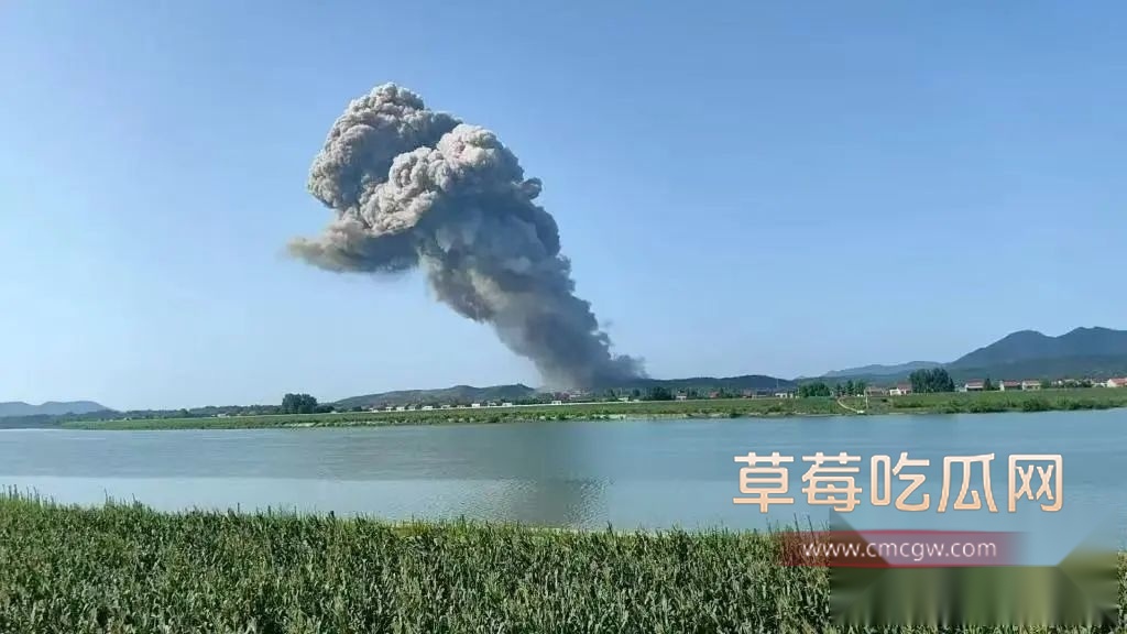 湖南临澧花炮厂爆炸 5