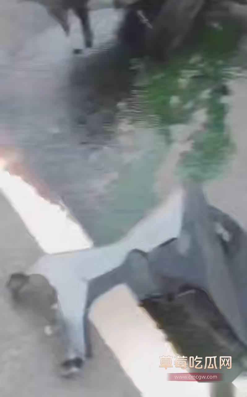 摩托车超速变道逆行超车发生严重车祸 11 摩托车超速变道逆行超车发生严重车祸 11