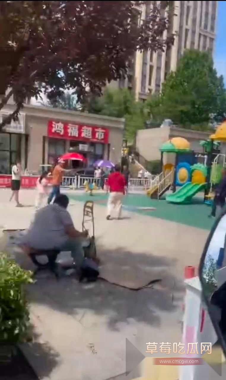 老头和年轻人打架 1 老头和年轻人打架 1