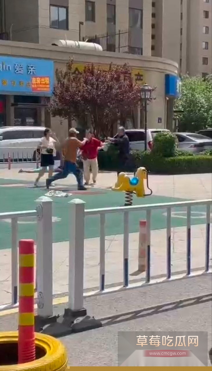 老头和年轻人打架 3 老头和年轻人打架 3