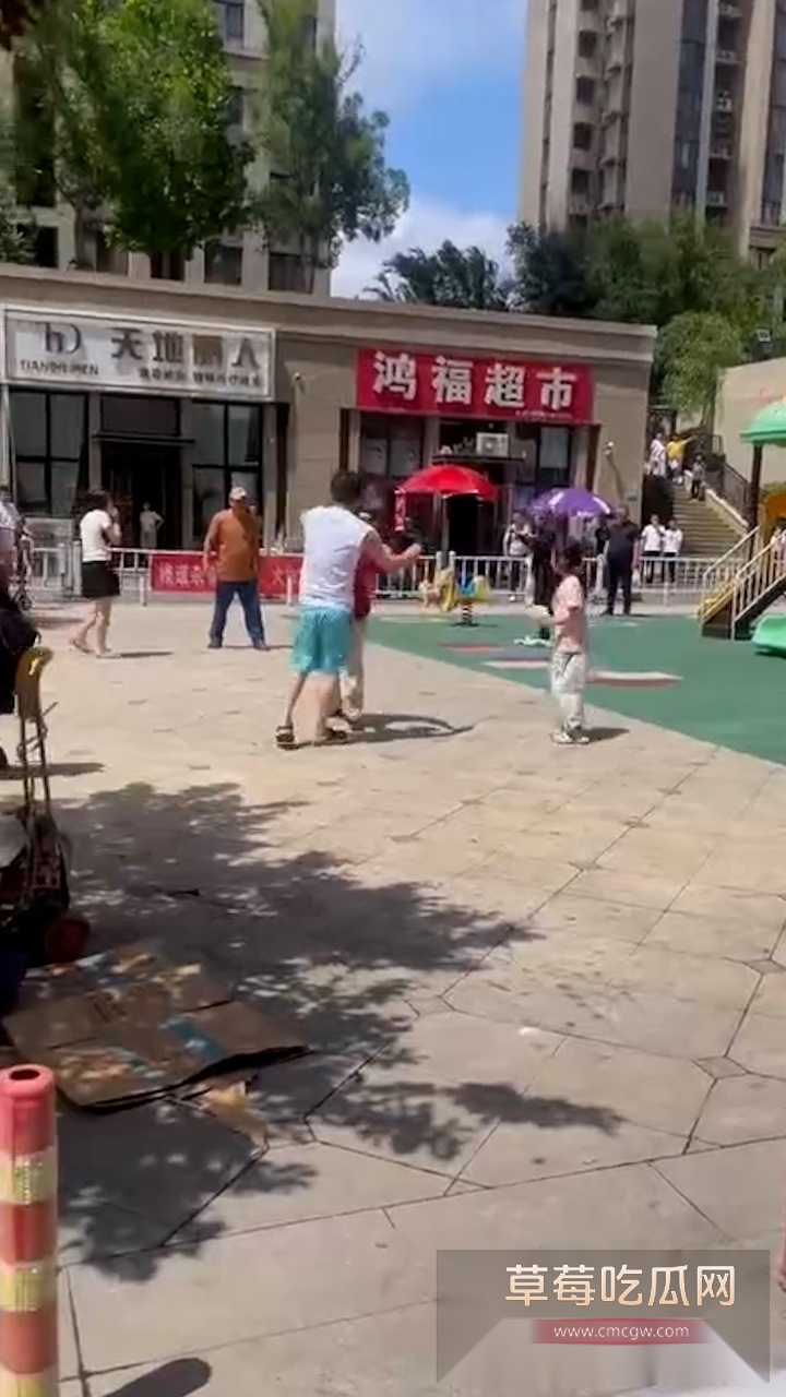 老头和年轻人打架 5 老头和年轻人打架 5