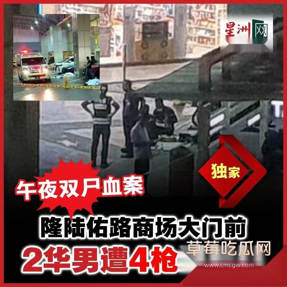 吉隆坡华裔男子被抢手埋伏 8