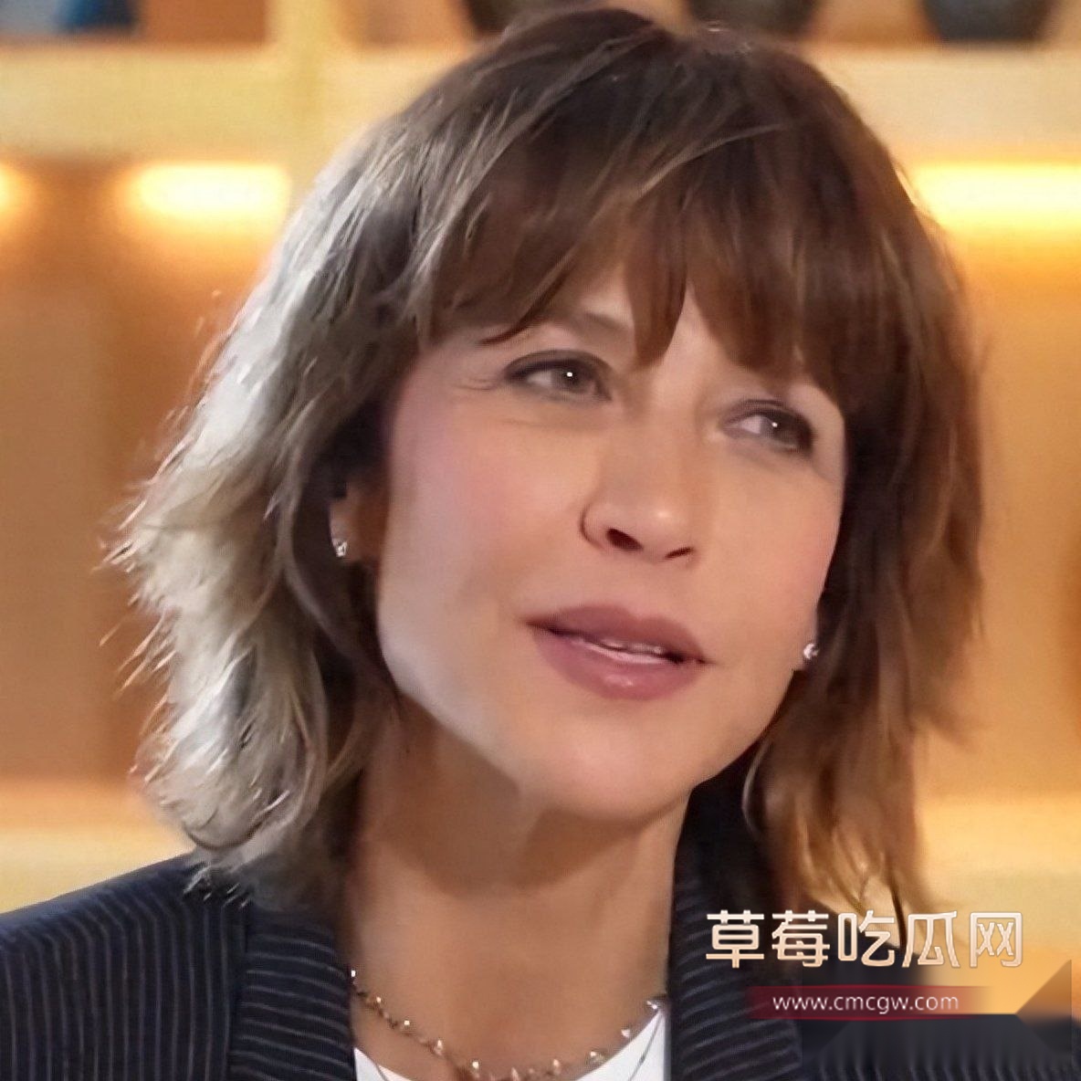 法兰西国宝级女神苏菲•玛索 3