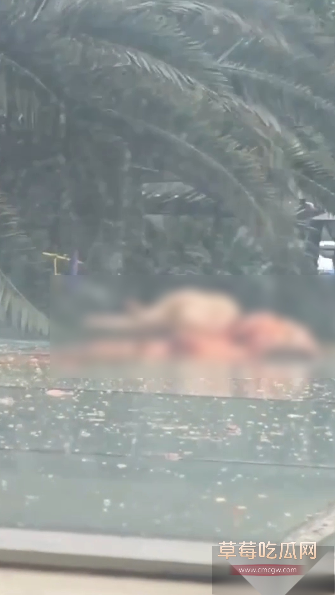 锦江区大慈寺路3号高坠警情 2 锦江区大慈寺路3号高坠警情 2