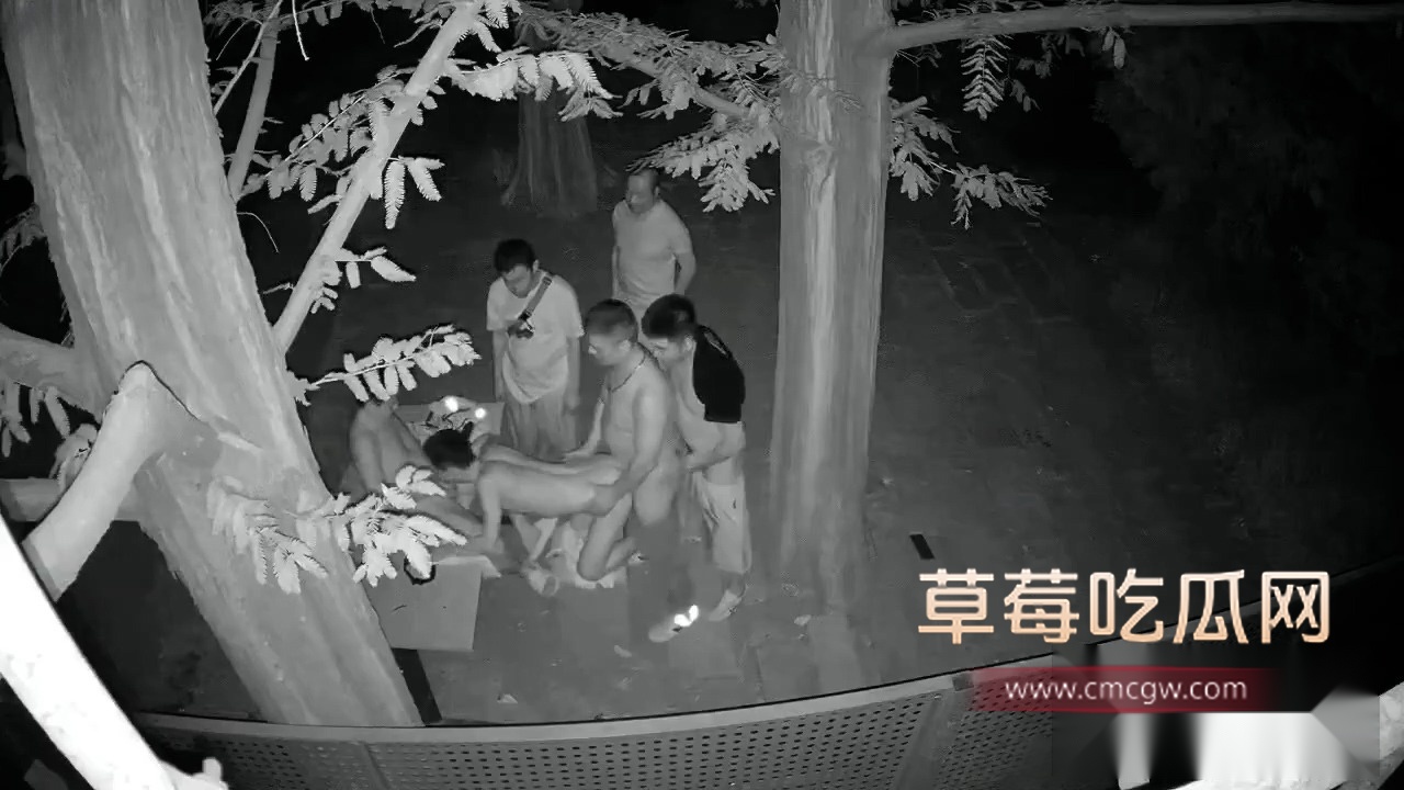 成都百花潭公园男同淫趴 5