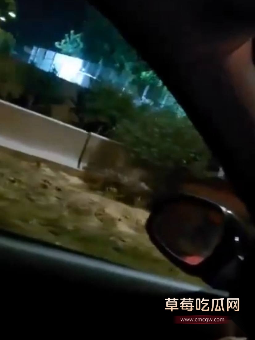 德黑兰监狱大规模越狱 5 德黑兰监狱大规模越狱 5