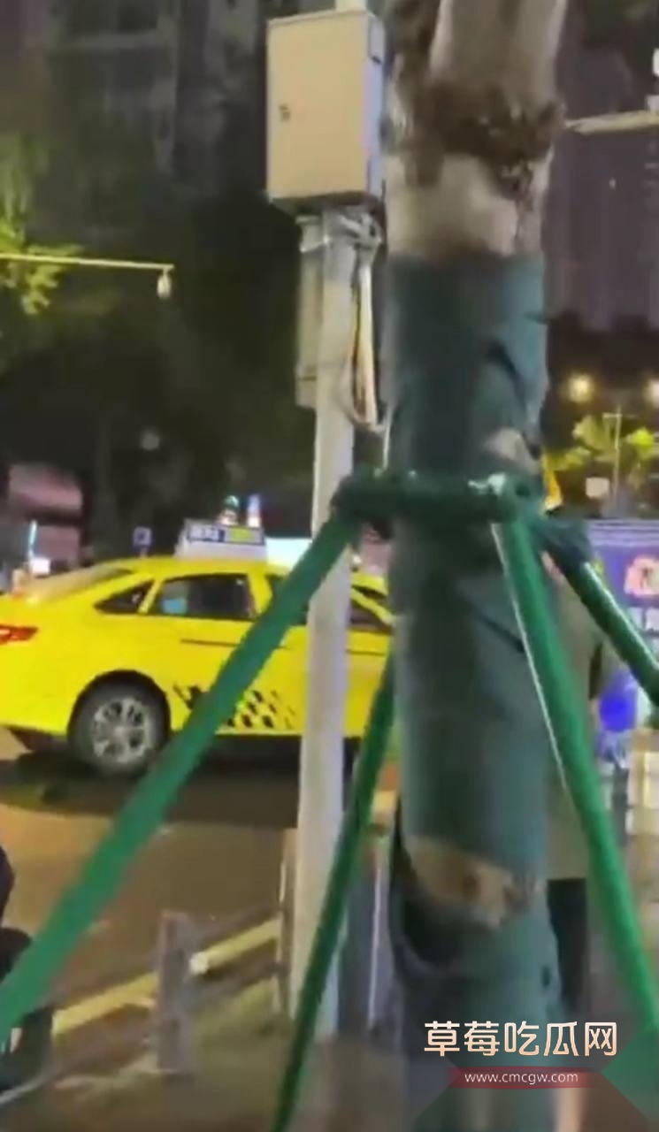 重庆疯狂出租车  9