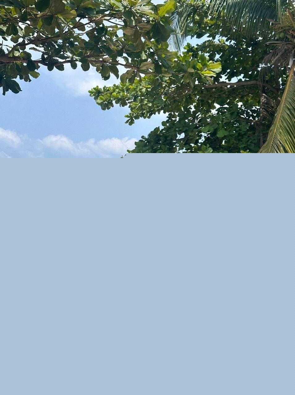 山西反差前女友王佳慧 7