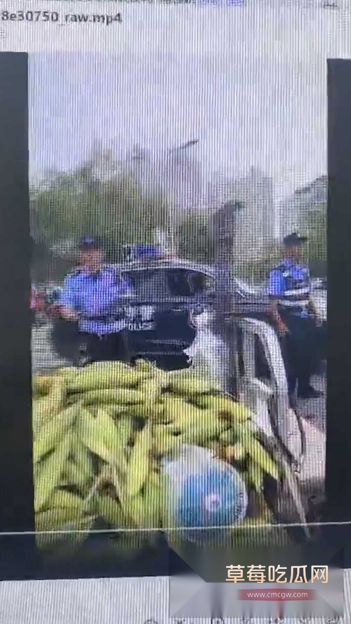 洛阳玉米摊冲突 4