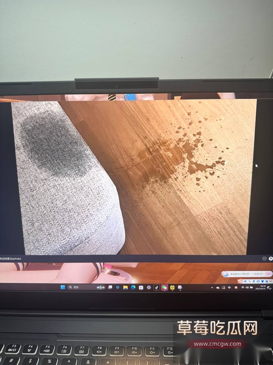 上海海归留学生吕若菡 17 上海海归留学生吕若菡 17